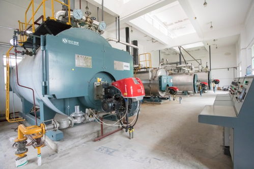 中正鍋爐匠心打造高效燃氣鍋爐系統，助力三易食品節能降耗